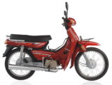 Motorcycle (LJ110-2)
