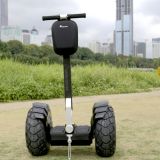 300cc Self Balancing 2 Wheels Electric Scooter for The Disabled