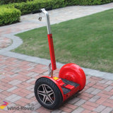 Outdoor Chariot Electric Mobility Scooter (CE)