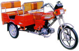Yangtze Tricycle -- YZ100Y