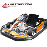 200cc Adult Karting Racing Carts