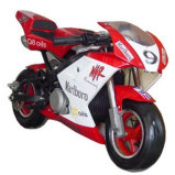 40cc Water Cooled Racing Moto (TY-850A)
