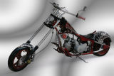 EPA, EEC Approved Trike Motorcycle (QC-B403)