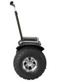 High Quality Competitive Price Self Balancing Electric Scooter