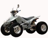 110CC Raptor Racing Quad (ATV110S-11)