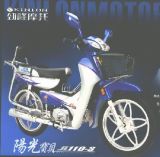 Motorcycle JL110-3(I)/JL100-3(I)