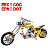 Enduro Dirtbike Chopper Motorbike 250cc (HDGS-408)