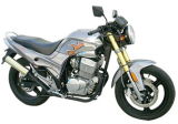 300CC Racing Motorcycle (FPM300E-B)