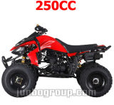 New 250CC ATV / Quad Standard Quality Quad Bike (DR773)