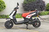 Scooter SL150T