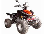 200CC Water-Cooled ATV with EEC / COC, Max. Speed: ≥70