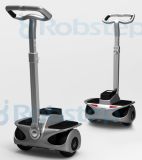 Self Balancing Electric Scooter (ROBIN-M1)