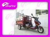 Aged Cargo Tricycle, 110cc Handicapped Tricycle/Disabled Scooter