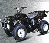 ATV (ZL-ATV250-1)