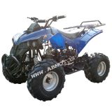 110CC Xbw ATV & Quad Bike (ATV-110K)