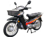 Motorcycle (KM110)