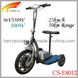 2013 36V350W/500W Brushless Hub Motor Three Wheel Electric Scooter for Youthand Adults, CS-E8012