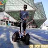 Two Wheels Self-Balancing Electric Scooter for Airport