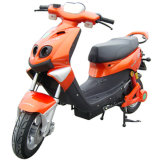 Electric Scooter / Electric Motorcycle (DM-07Z)