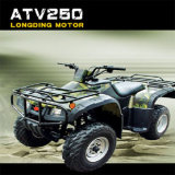 250cc ATV (oo-250ATV-C)