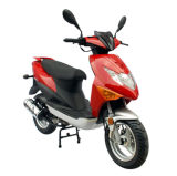 Gas Scooter  (ZW50QT-31)