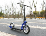 Fast Speed 300W Lithium Battery E Scooter (ES-1201)