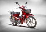 110cc Cub Motorbikes (HD110-6T)