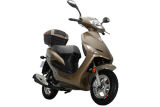 New Gas Scooter X3