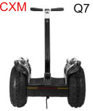 Hotsale 19 Inch 2 Wheel Big Smart Self Balance Scooter