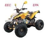 200cc/250cc EEC ATV (YG200E-A9)