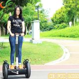 Wholesales Standing Balancing Battery Electric Scooter