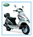 50cc/49cc Scooter, Gas Scooter, Moped Scooter, Motor Scooter (Little Eagle)