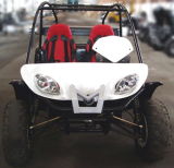 Buggy - Two Seats 650CC