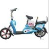 Electric Bicycle (TDR013Z)