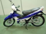 Motorcycle JL110-17