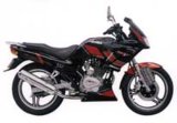 Motorcycle AJD150-7