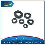 Xtsky High Quality Motorcycle Oil Seal