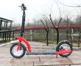 300W36V Folding Electric Scooter for Adult
