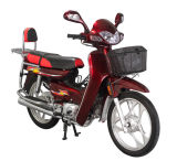 Motorcycle (ZW100)