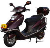 Electric Scooter (TD-07)