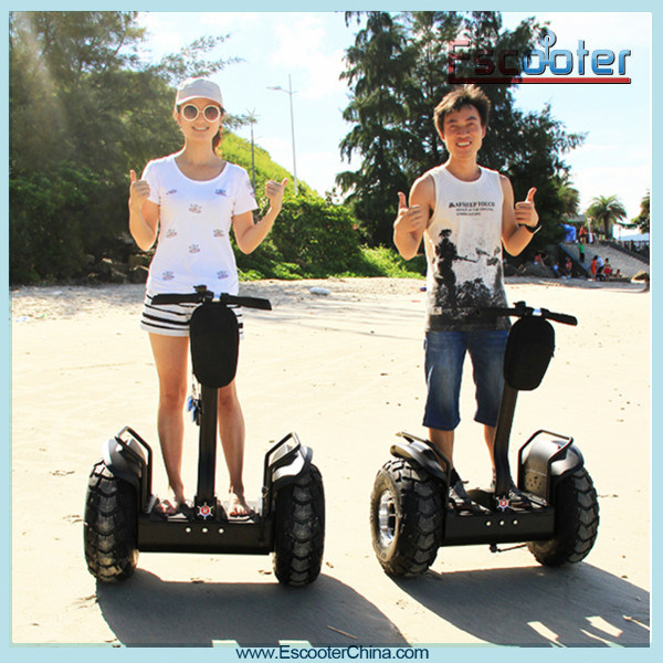 Folding China Electric Segway Scooter off Road Scooter Electric Bike