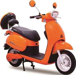Electric Scooter Standard Features and Specifications