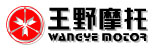 Taizhou Wangye Motive Power Co., Ltd.