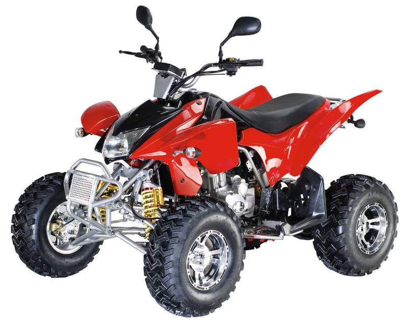 250cc New Model with EEC Homologation (QY250ATV-5)