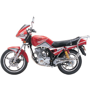 Bicycle Motor (BD125-4C)