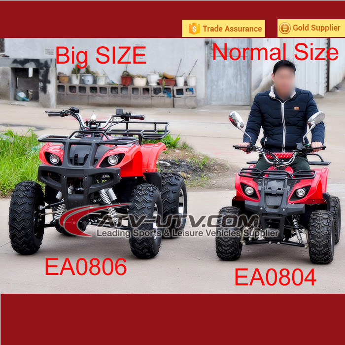 Big Size Electric ATV (800W/1000W)