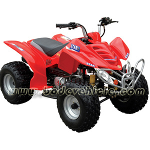 125cc ATV Quad for Adults