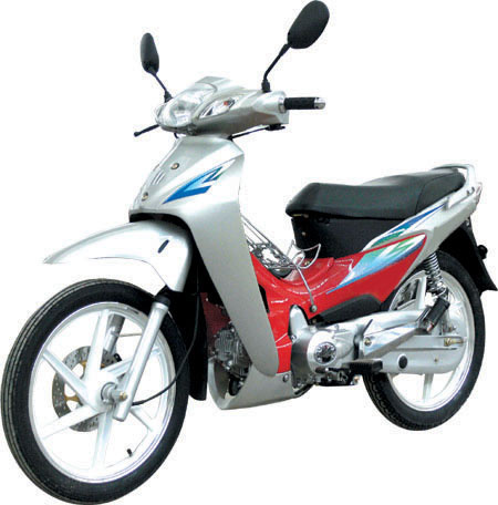 CUB Bike (SKC110-8(V))