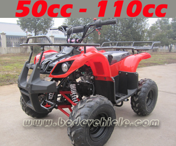 Automatic 110cc Quad CE Approved (MC-313)