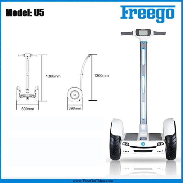Outdoor Chariot Balance Scooter Electric Mobility Scooter